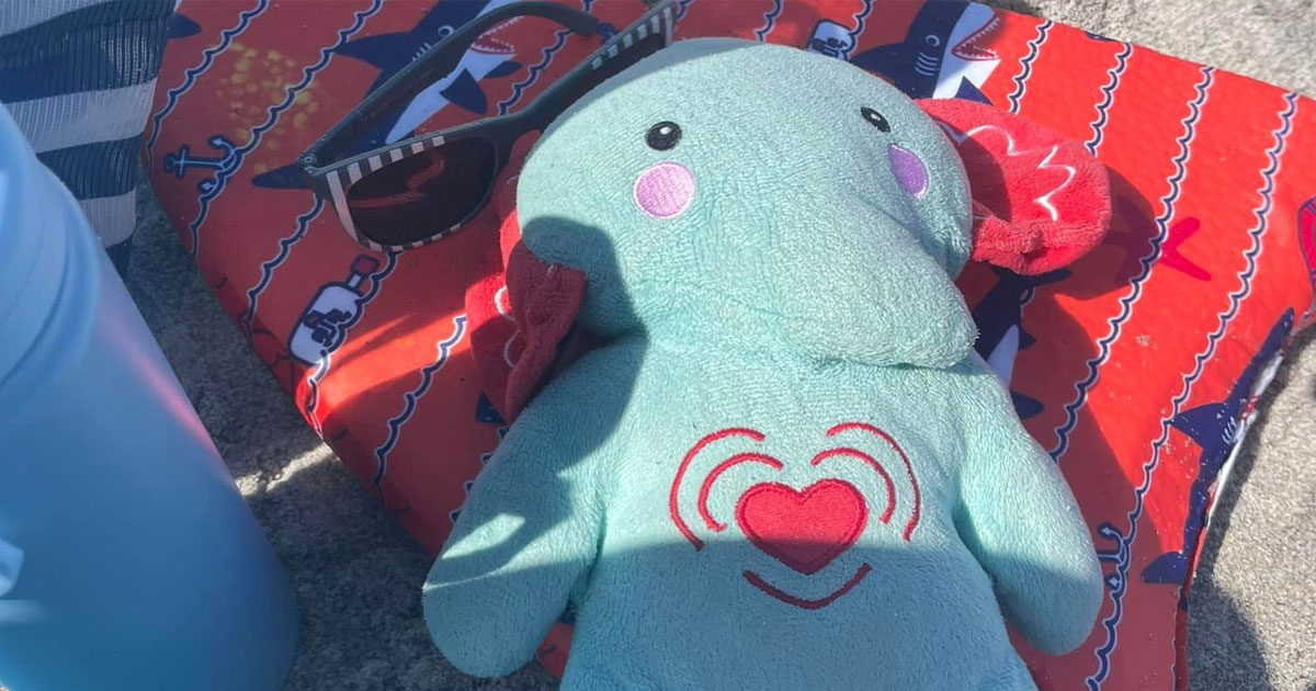 Grieving mom searching for stuffed elephant holding son's ashes after