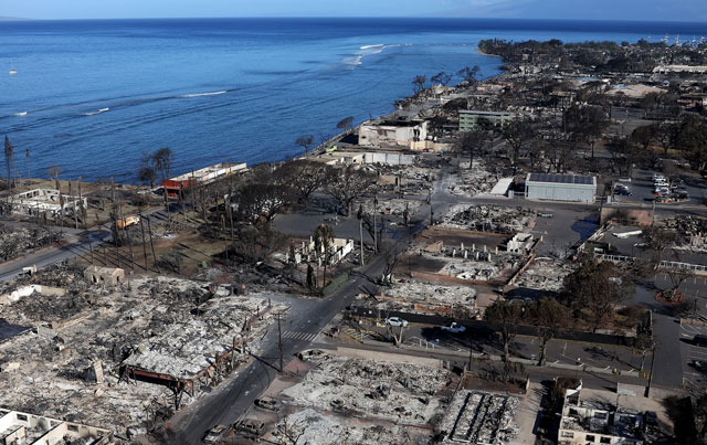 Woman loses everything in Maui wildfire except one photo found on a ...