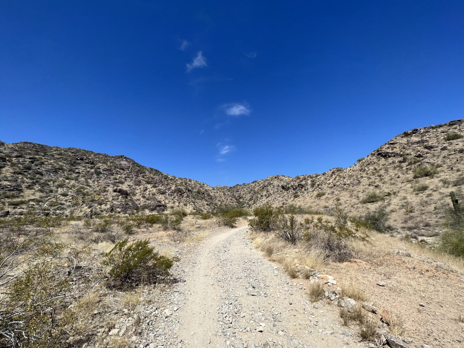 Arizona boy, 10, dies after hiking in 113degree heat