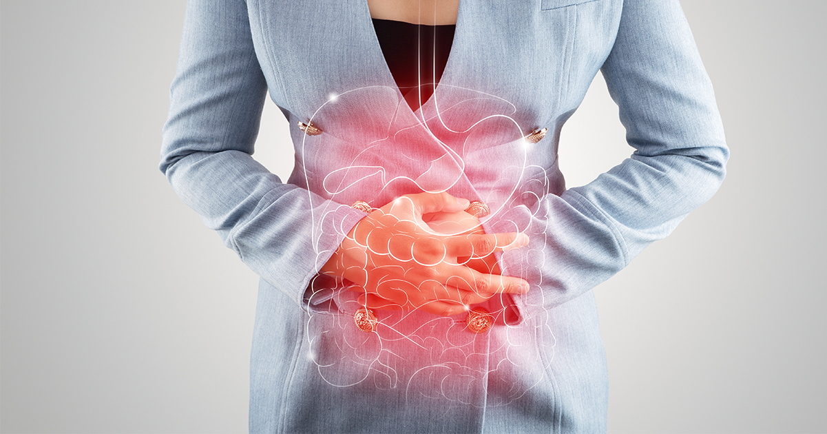 Internal organs. Credit / Shutterstock