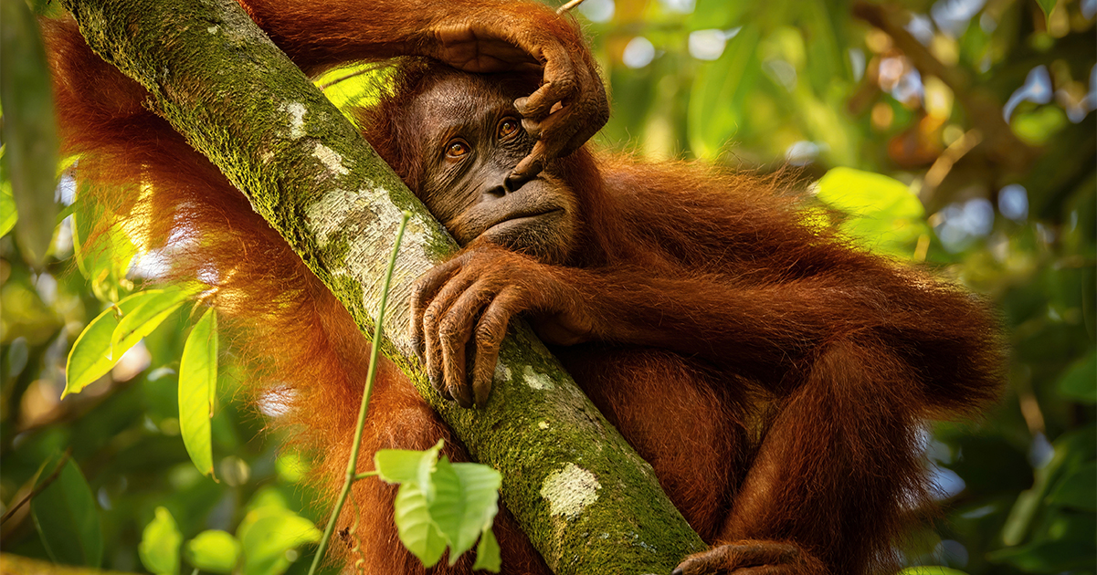 Stock image. Credit / Shutterstock
