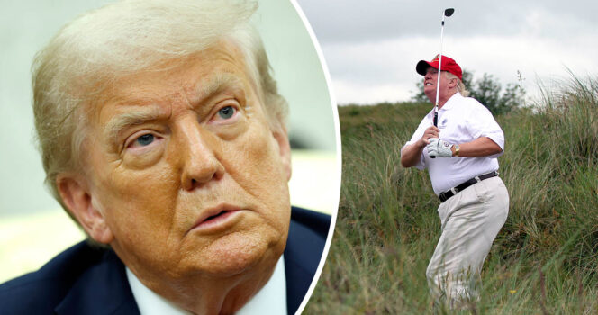 Donald Trump. Credit: Getty Images