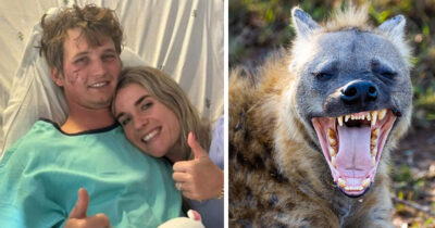 Survivor Nicolas Holhs & stock image of hyena (Shutterstock)