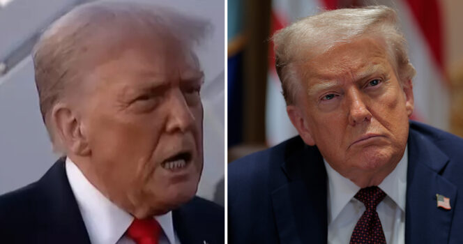 Donald Trump. Credit / Getty Images