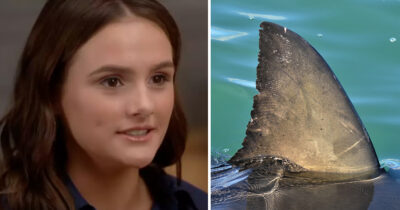 Lulu Gribbin (credit: YouTube) & stock image of shark fin (shutterstock)