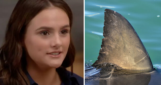 Lulu Gribbin (credit: YouTube) & stock image of shark fin (shutterstock)