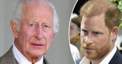 King Charles (left), Prince Harry (right). Credit: Getty Images