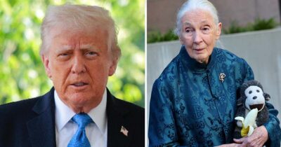 Donald Trump, Jane Goodall. Credit: Getty Images