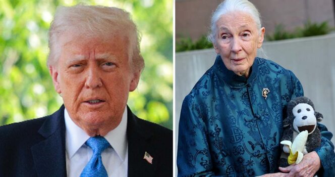 Donald Trump, Jane Goodall. Credit: Getty Images