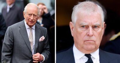 King Charles, Prince Andrew. Credit: Getty Images