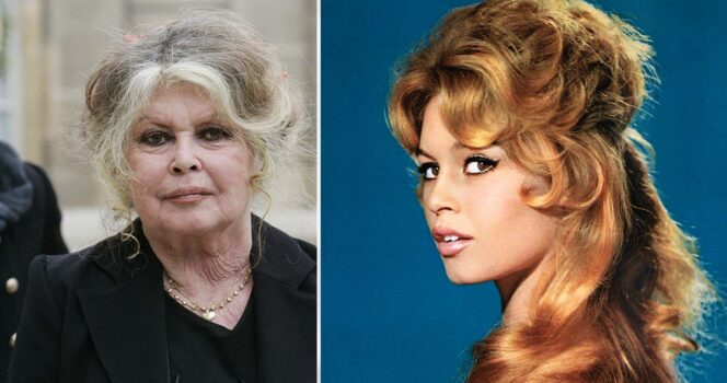 Brigette Bardot. Credit: Getty Images