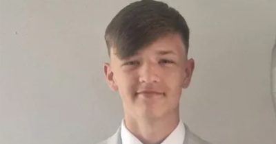 Harley Andrews died just one day after his diagnosis. Credit / GoFundMe