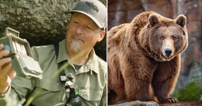 Casey Anderson (Credit: YouTube) and a grizzly bear (Credit: Shutterstock)