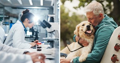 Stock images. Credit / Shutterstock