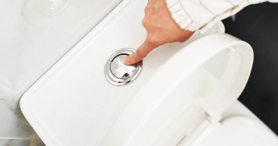 Credit: Shutterstock.com