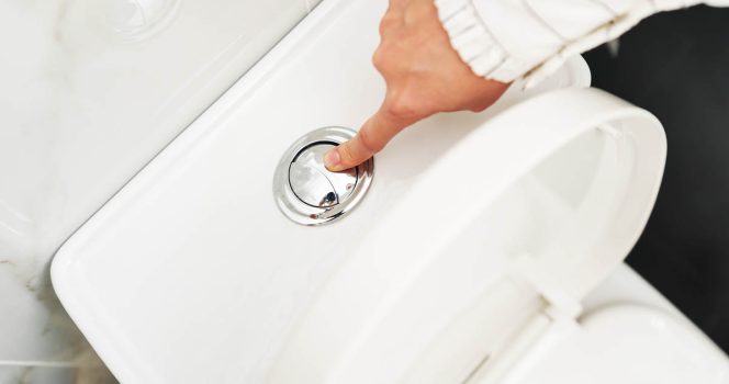 Credit: Shutterstock.com