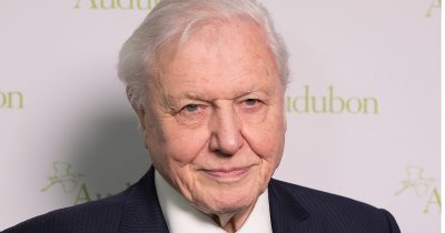David Attenborough. Credit: Shutterstock.com