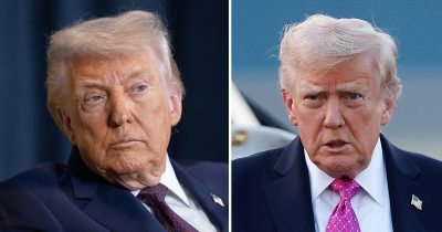 Donald Trump has promised checks. Credit / Getty Images