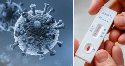 Credit: Shutterstock.com, Getty Images