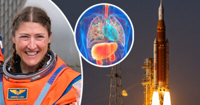 Credit: Getty Images, Shutterstock.com