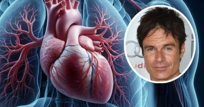 Credit: Shutterstock.com, Getty Images