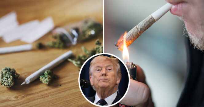 Marijuana, weed, Donald Trump