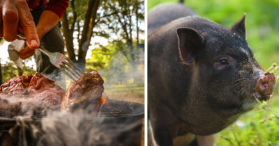 Credit / Shutterstock