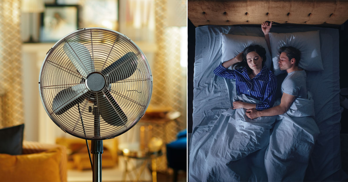 Fan, sleeping, couple