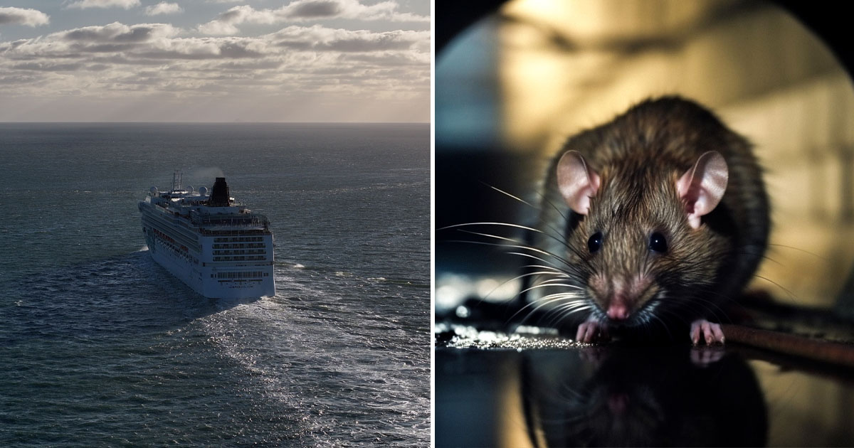 MV Hondius, hantavirus