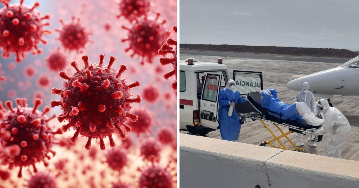 Experts say the hantavirus outbreak on the ship is unlikely to evolve into a worldwide pandemic. Credit: Shutterstock