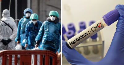 Hantavirus