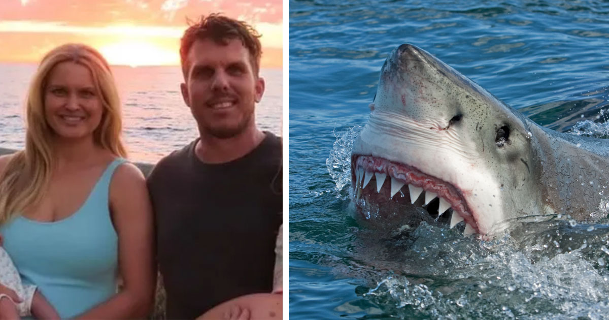 Steven Mattaboni, shark attack