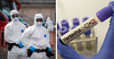 Hantavirus