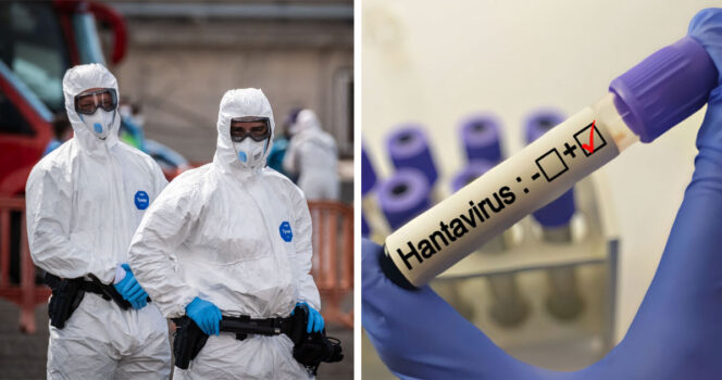 Hantavirus