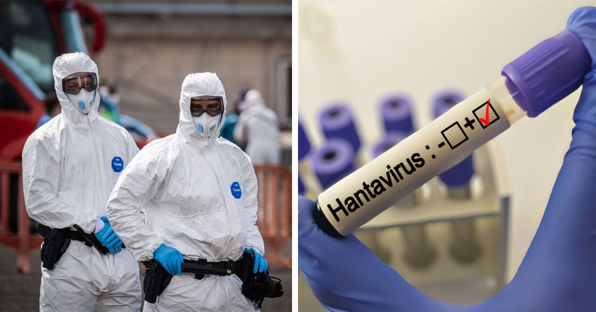 Hantavirus
