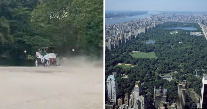 A Central Park horse carriage ride ended in tragedy