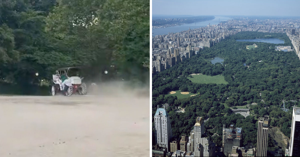 A Central Park horse carriage ride ended in tragedy