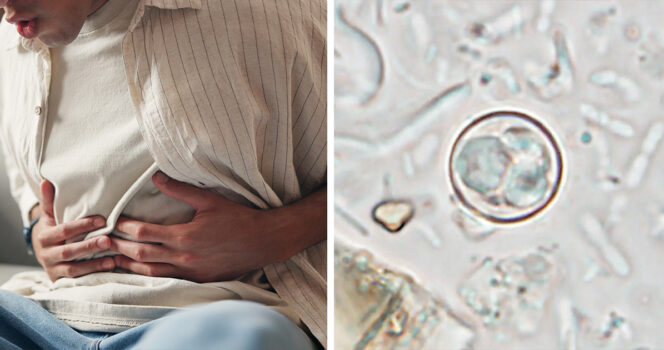 Credit / Shutterstock & the CDC