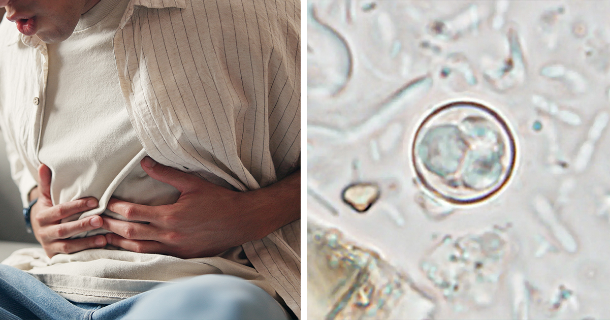 Credit / Shutterstock & the CDC