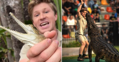 Steve Irwin
