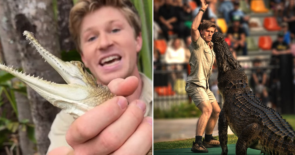Steve Irwin