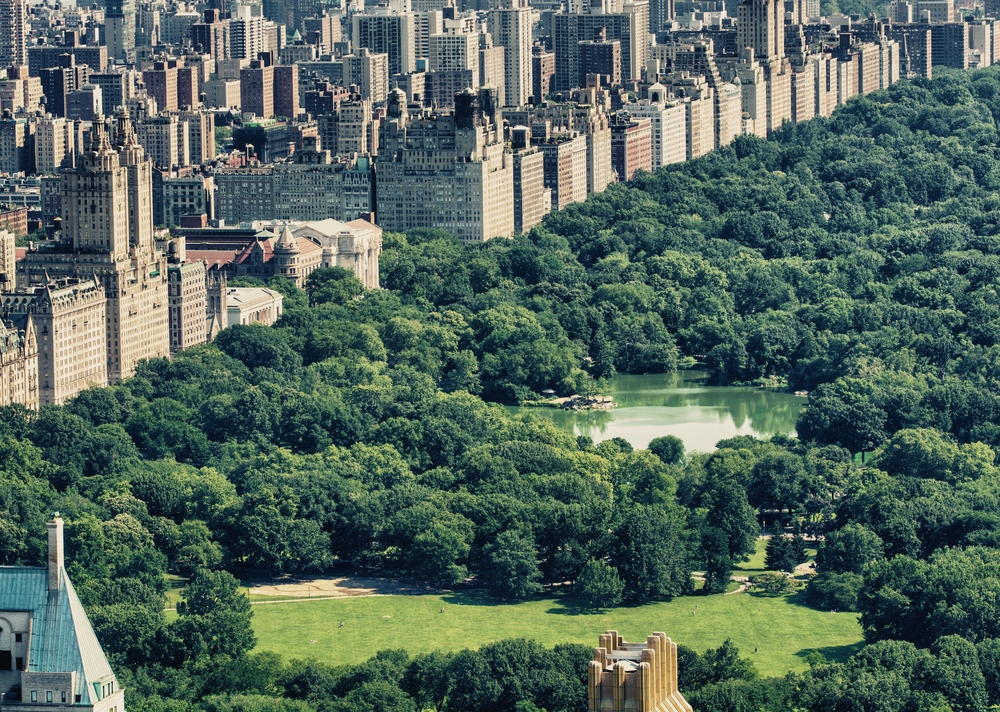 NYC lawyer caught with young colleague in Central Park faces ‘karma'