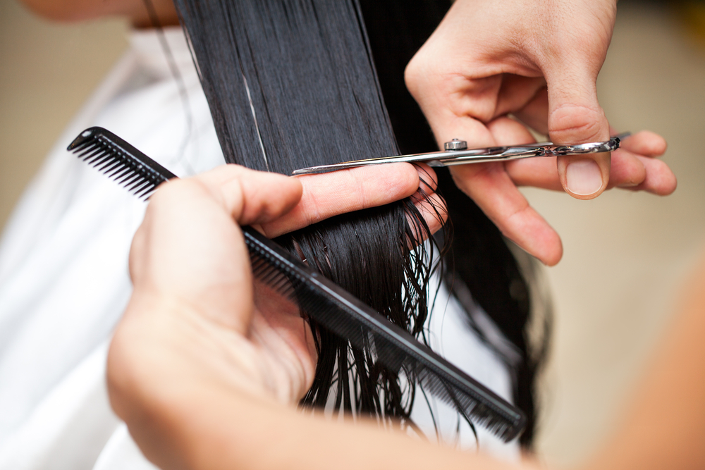 Hair salon owner refuses transgender customers – ‘seek services at a local pet groomer instead'