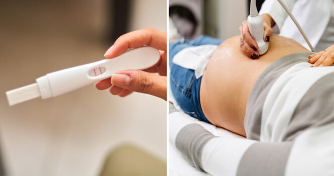 Pregnancy, fertility