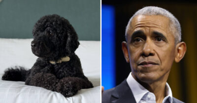 Barack Obama, dog Sunny