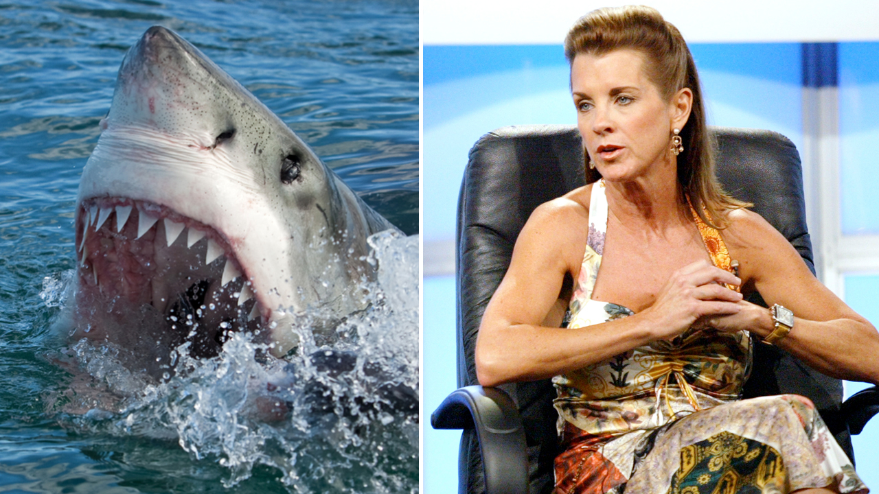 Deborah Scaling-Kiley, Shark