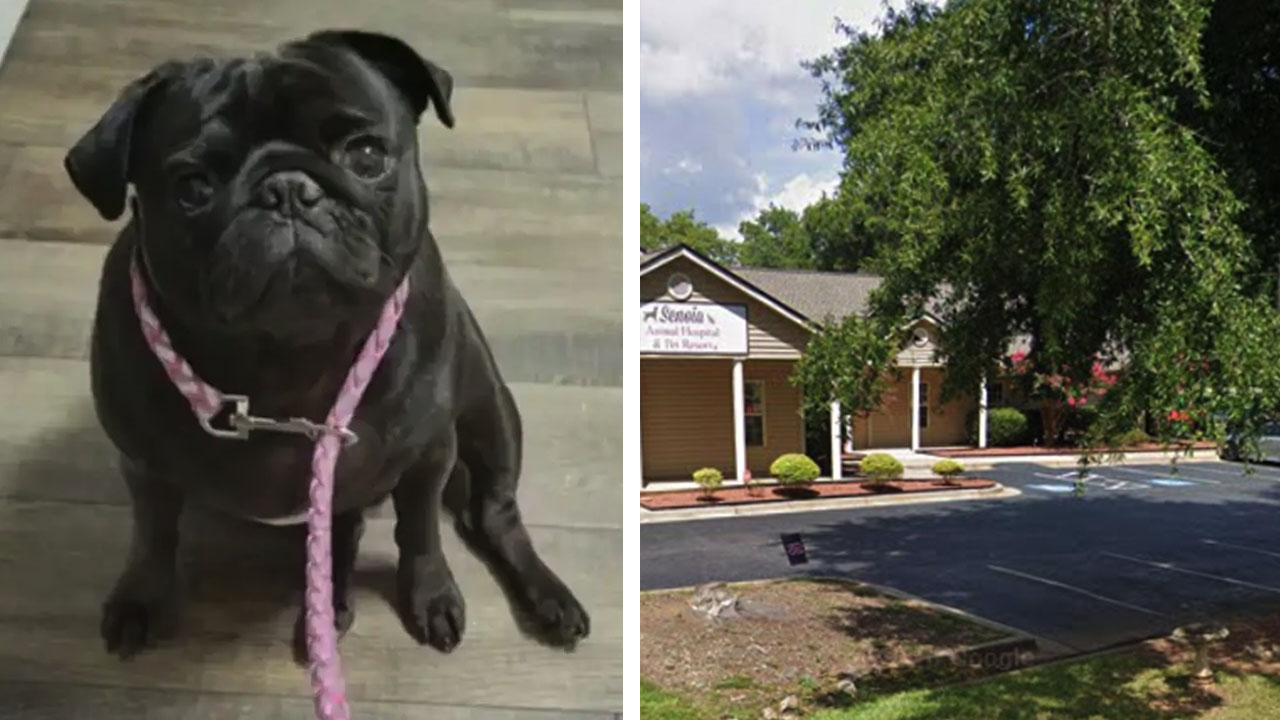 Credit / Facebook and Google Maps