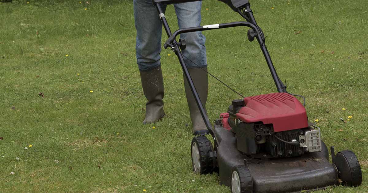 Gräsklippare för att klippa gräsmattan. Foto: Shutterstock