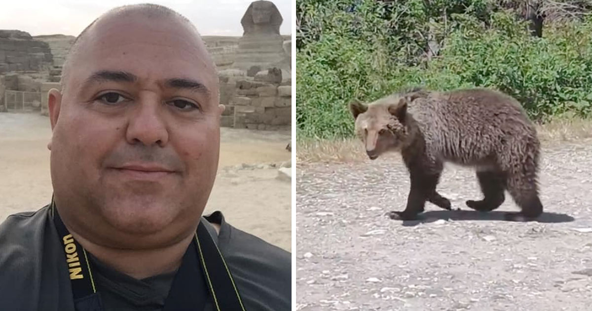 Man blev attackerad av björn.