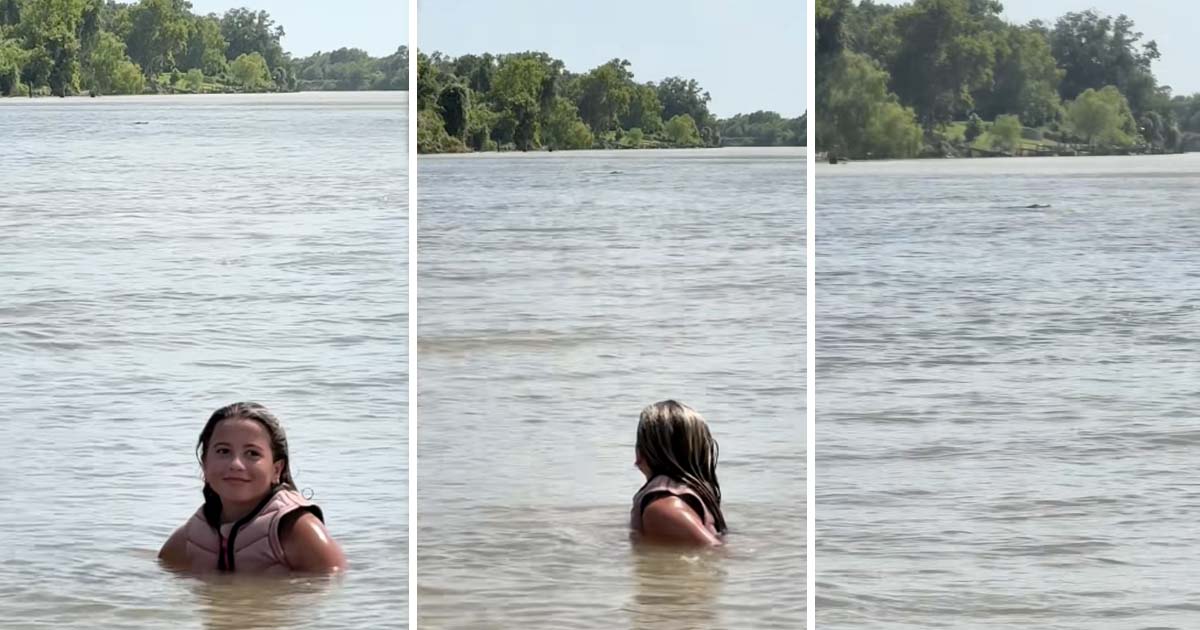 Alligator närmar sig 12-åring som skrattar åt det. Foto: Tiktok